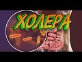 КАК ПЕРЕЖИТЬ ДЕРЬМОВЫЙ АПОКАЛИПСИС  - 5: Холера, диарея, которую можно не пережить.