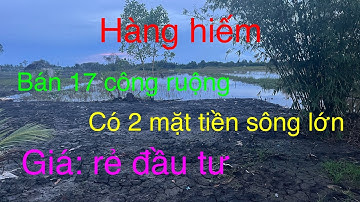 Bán 17 công ruộng giá siêu rẻ 90tr hơn ở Cần Thơ( xã vĩnh viễn) 