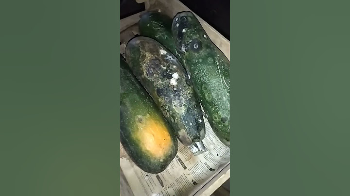 Белоплодный кабачок хранится лучше всех   это показала нынешняя зима