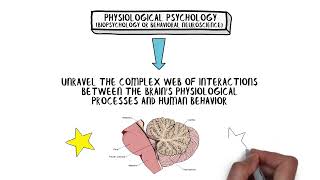 PSY-303 Module 4: The Brain