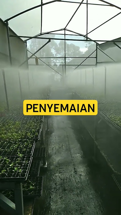 PENYIRAMAN OTOMATIS UNTUK PENYEMAIAN