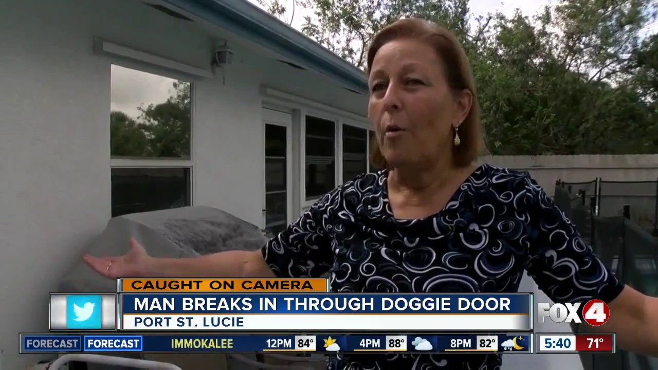 Man uses dog door to break into home YouTube