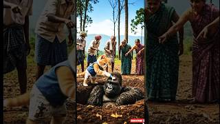 Super White Kitten Cute Kindness