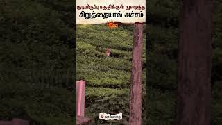 Leopard | Kovai | Shocking | Forest Officer | Sun News