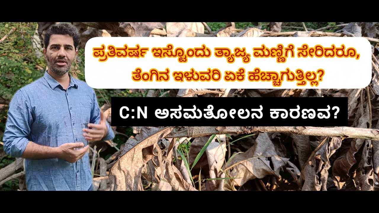 ಸಾವಯವ ಕೃಷಿಗೆ ಬದಲಿಸಿದ ಮೇಲೆ ಫಲ ಕಡಿಮೆಯಾಗುವ ಕಾರಣ | C:N ಅನುಪಾತದ ರಹಸ್ಯ