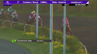 Vidéo de la course PMU PREMIO MARINER