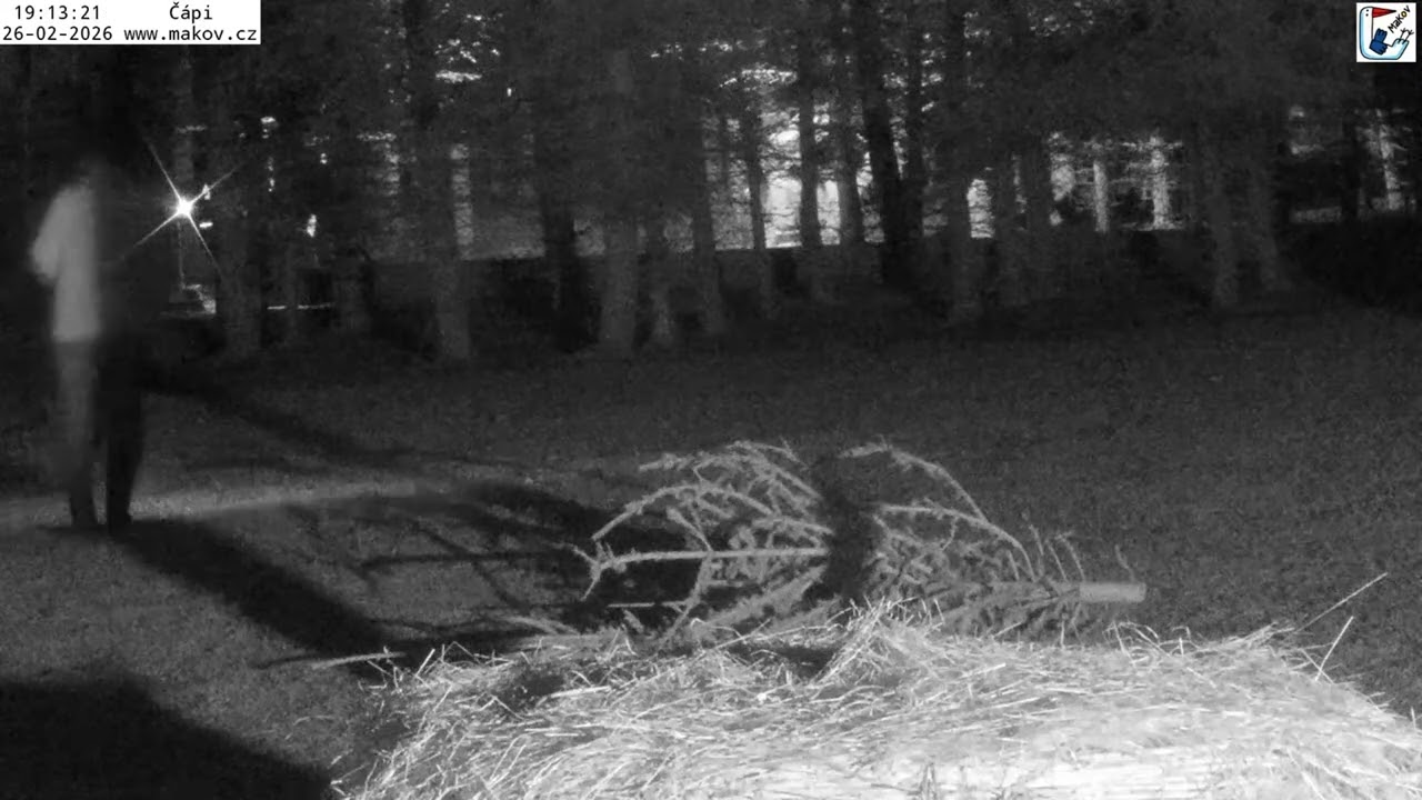 Paní Mirka jde hledat Honzíka