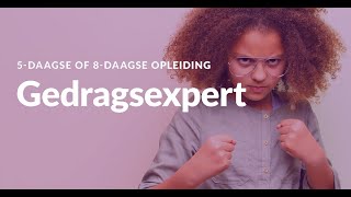 Opleiding Gedragsexpert Wat Kan Jij Verwachten?