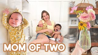 Day in the Life with a NEWBORN & TODDLER | House Projects + Life Update!