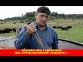 Заготовка сена и уборка овса. Нож "Профессиональный таежный № 1"