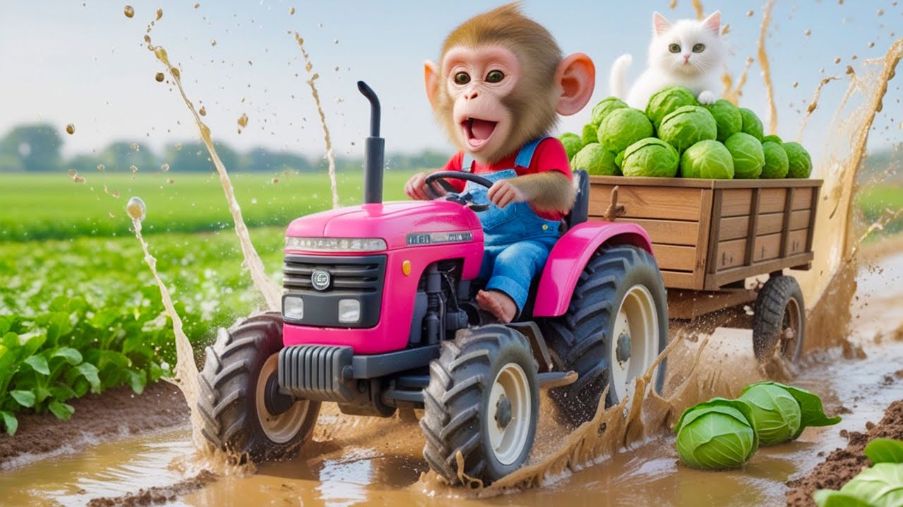 Monkey NaNa Mango Harvest Turns CHAOTIC When a Cow Steps on a Nail—His Genius Rescue SHOCKS All! 😱🐄