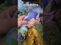 Honey Hunting