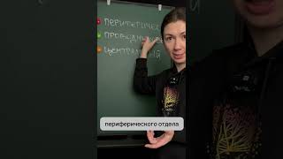 Знакомься – это ухо! С его строением ты уже наверняка знаком. А вот что такое слуховой анализатор? 🤔