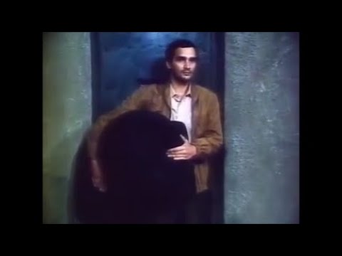 \"თეთრი ბაირაღები\" - გაცნობა (tetri bairagebi)