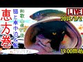【猫と車中泊＆飯】恵方巻【和歌山県】