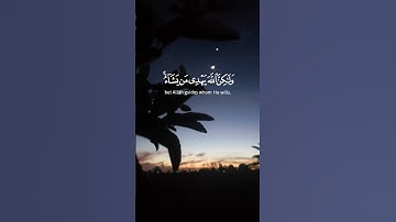 قران كريم لأ تهرب بلأ أسمع صوت للشيخ ياسر الدوسري #اكسبلور #الرحمن #لايك #يارب #راحة_نفسية #اكسبلور