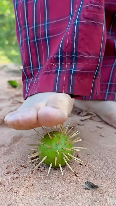 Keterampilan Bertahan Hidup: Ide CERDAS dan BERMANFAAT dengan ibu tunggal #bushcraft #berkemah Yp-07