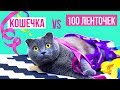 КОШЕЧКА VS 100 ЛЕНТОЧЕК | ВСЕ КОТИКИ ТАКИЕ