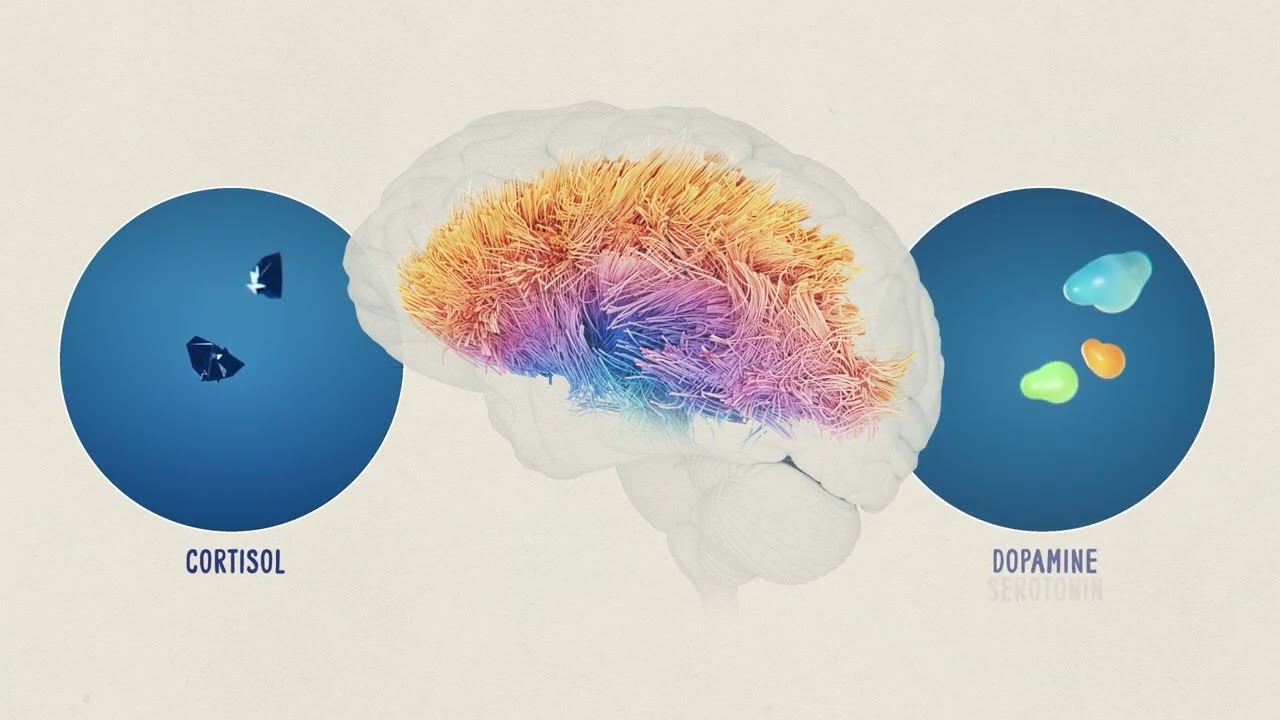 Embrace Your Signal_Loneliness, Art, and the Brain - Narrated by Debbie Irwin