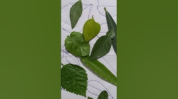 Visual Perceptual Skills Activity #shorts #diy #shape #matching #nocostdiy #kids #youtubeshorts