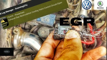 VW, Skoda P2425 EGR cooling valve circuit/ Open | Exhaust Gas Recirculation Vento, Polo, Octavia