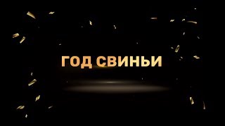Год Свиньи...