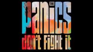 The Panics - Don't Fight It (432 Hz)