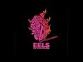 EELS - THE DECONSTRUCTION - album trailer