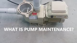 Do Pool Pumps Need Maintenance?