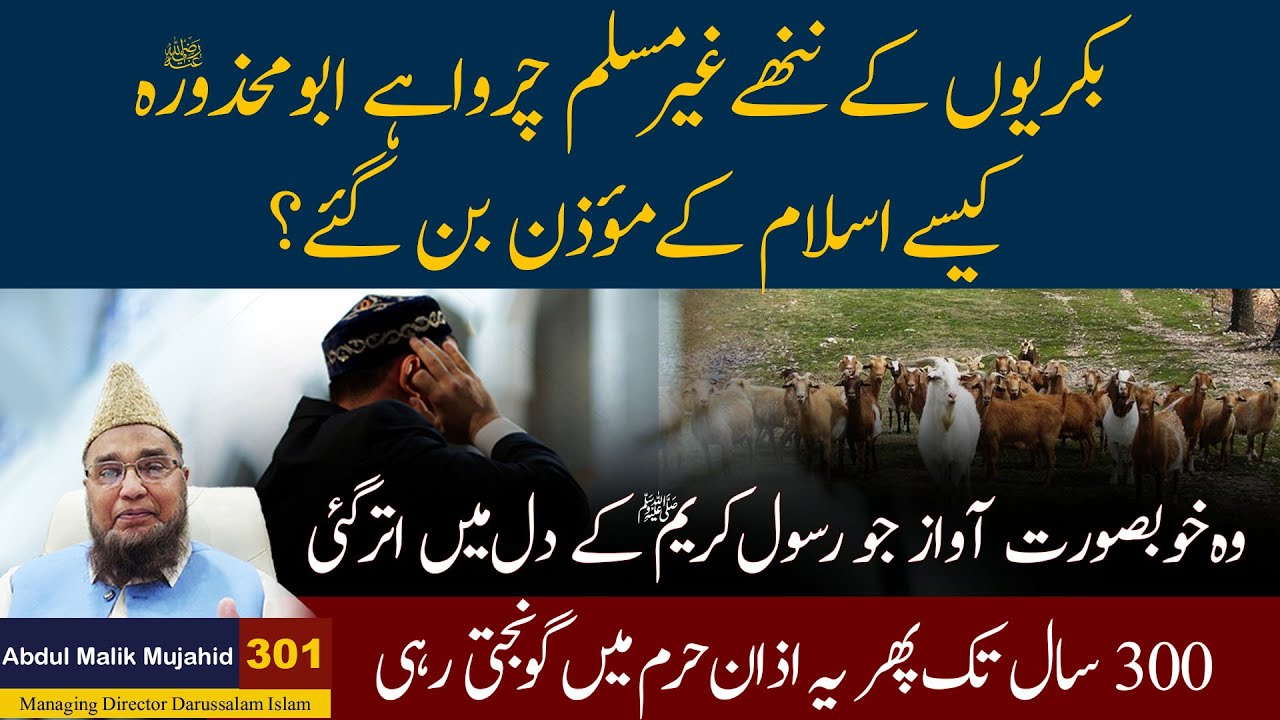 Bakrion ke Nanhe Gair Muslim Charwahe Kase Islam ke Moazan Ban Gaye ?  Story No 301