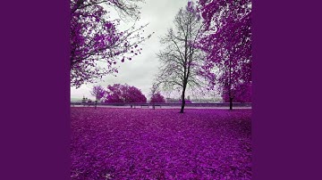 Dashing Moods for Relaxing Experiences