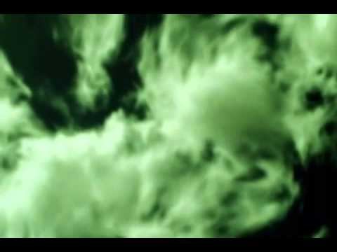 Sacred Mysteries Divine Feminine Sharron Rose tibetan terrier