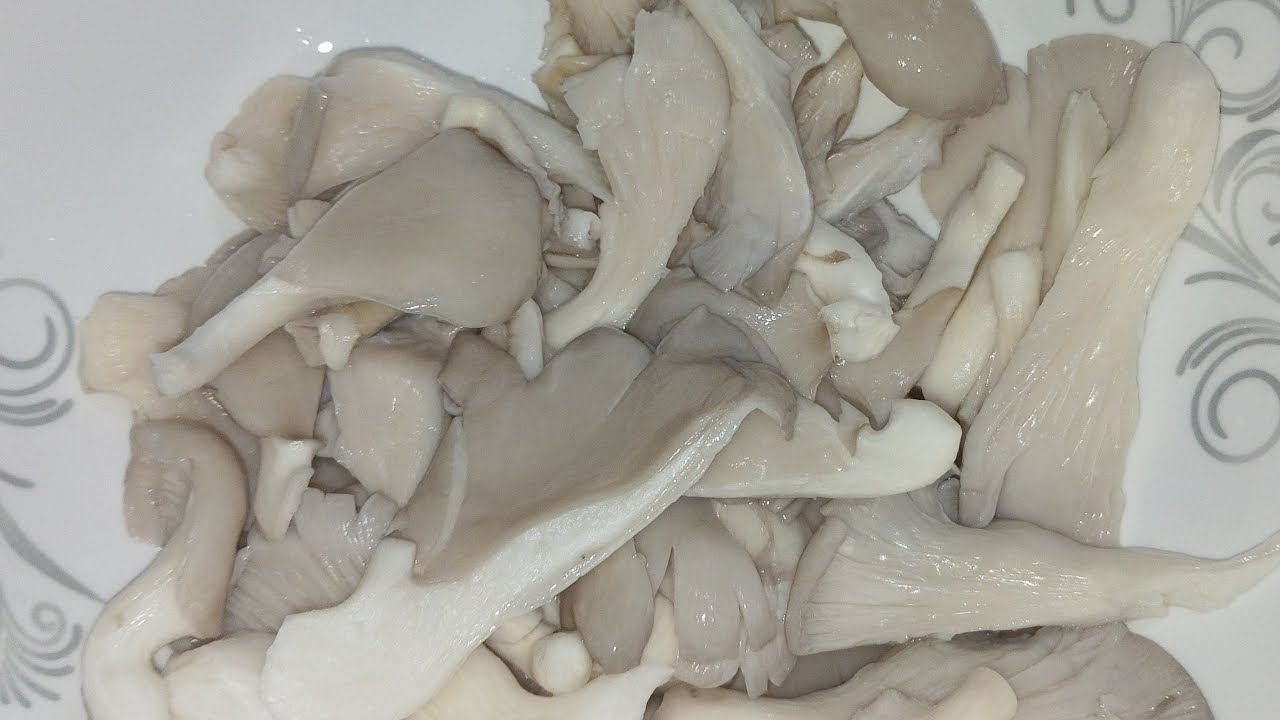 আসসালামু আলাইকুম, শুভ সন্ধ্যা।