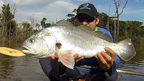 Qual a melhor isca para pescar corvina de água doce?