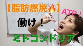 【脂肪を燃やす】実体験！アミノ酸がなぜ脂肪燃焼に効果的か？を解説
