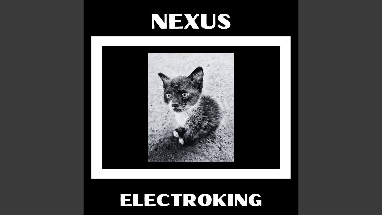 NEXUS auf YouTube ansehen NEXUS auf YouTube ansehen