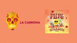 Video thumbnail of "La Cabrona - Conjunto Nuevo Amanecer"