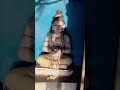 #shiv #krishna #vishnu #durga #kali #ganesh #trending #viral #ytshorts #bhole #ram #hanuman #hindu