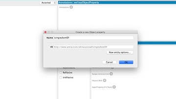 03  ProtegeTutorial E8 15