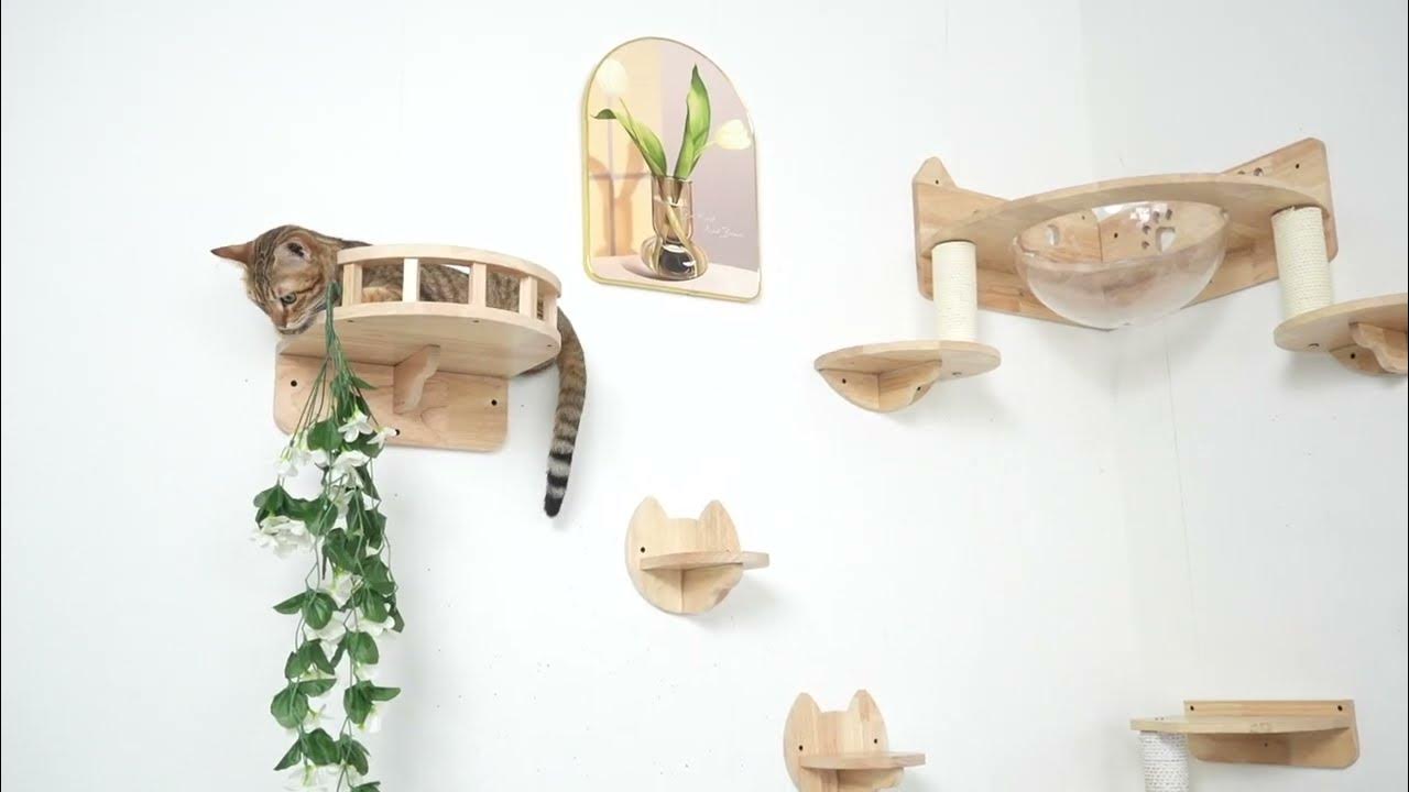 Create a feline obstacle course by building a wall and a playground for