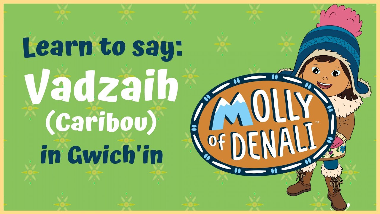Vadzaih | MOLLY OF DENALI