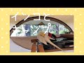 インコとキャンプ五光牧場オートキャンプ場 タケノコテント