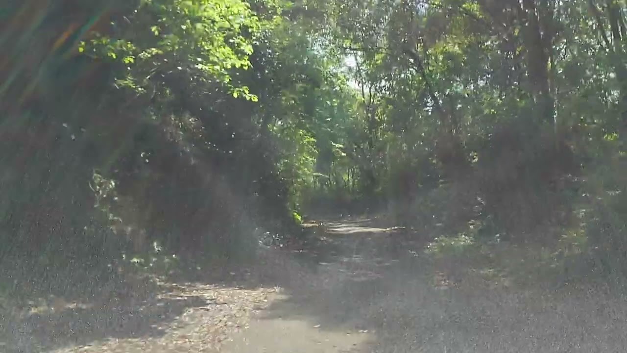 【森林浴ドライブ】茨城県林道弓弦線～上佐谷青木葉線【車載動画】