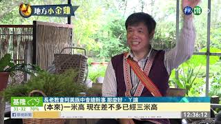 澳洲茶樹飄香太巴塱精粹精油拚經濟| 華視新聞20190807