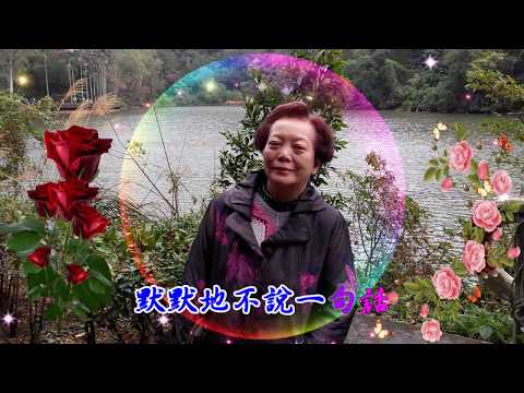 音樂 淚的小花 青山 慈湖  1051228