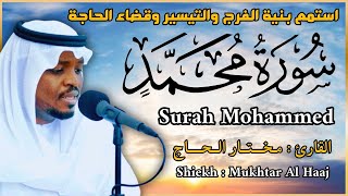 الشيخ مختار الحاج , سورة محمد - تلاوة خاشعة