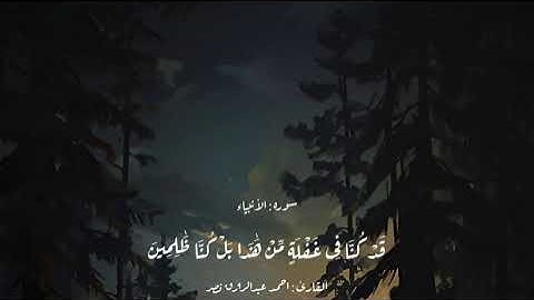 القرآن الكريم #راحة_نفسية #quran اللهم إجعل القرآن الكريم ربيع قلوبنا ونور صدورنا 🤲