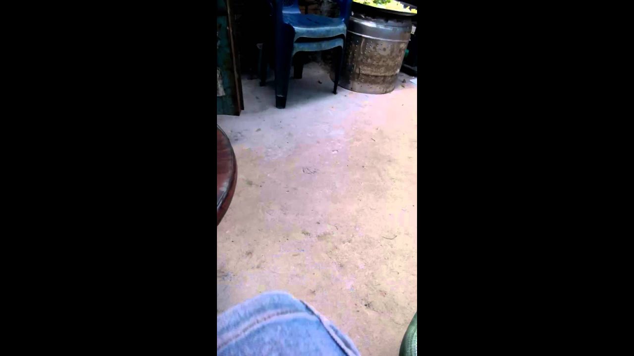 Nhìn trộm gái đi ỉa - YouTube