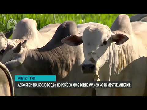 Agro registra recuo de 0,9% no período após forte avanço no trimestre anterior | Canal Rural