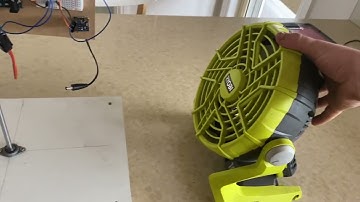 Millie flying fish part 1 Feedback